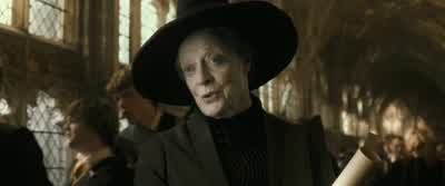 ...with "Exceeds Expectations." Brilliant. - Harry Potter and the Half Blood Prince