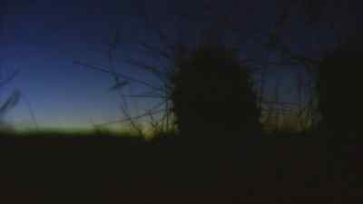 With rattlesnakes around
this will be a long night. - Man vs. Wild