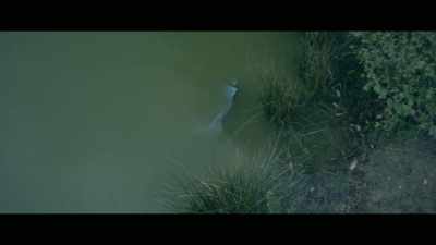 - With ridgway, I don't know - Invisible Monsters: Serial Killers in America