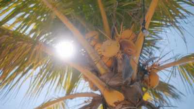 - With searingly hot weather
all year round, - Eva Longoria: Searching for Mexico