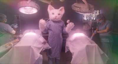 With his six-digit paws, - The Fabulous Four