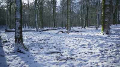 With snow blanketing the ground, - Wild Isles