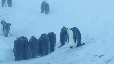 With steep, slippery walls. - Dynasties