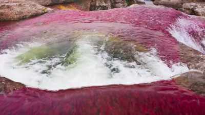 With such spectacular colours,
it's hardly surprising - The Green Planet