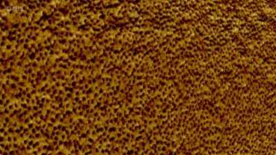 With the atomic force microscope, - Secrets of Size: Atoms to Supergalaxies