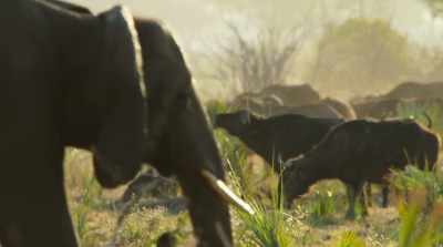 With the dry season
taking grip, - Surviving Paradise: A Family Tale