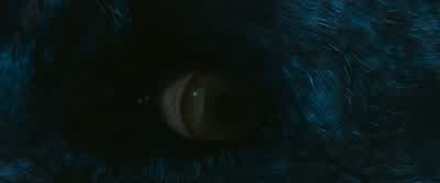 With the Elixir of Life, Voldemort will be strong again. - Harry Potter and the Philosopher's Stone