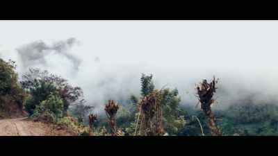 WITH THE INTERVENTION
IN COLOMBIA, - Why We Hate
