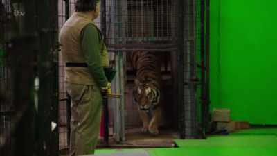 'With the lion safely returned
through the hatch, - Britain's Tiger Kings - On the Trail with Ross Kemp