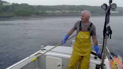 With the lobsters not finding
the pots, - Cornwall: This Fishing Life