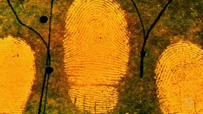 With the murder solved,
a commercial version was developed - Aussie Inventions That Changed The World