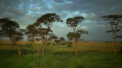 With the plains deserted, - Serengeti