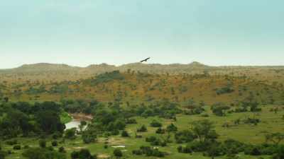 With the plains dry and empty, - Serengeti