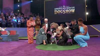 With the rumbling, earth-shaking snoring - 2022 American Rescue Dog Show