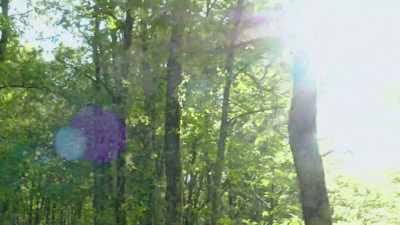 With the sun
as their compass, - Cosmos: Possible Worlds