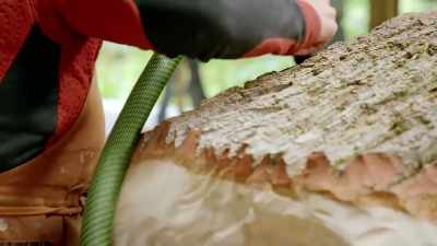 With their animals getting
closer to completion, - Handmade: Britain's Best Woodworker