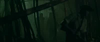 There is a girla female of the opposite sex - Pirates of the Caribbean: On Stranger Tides