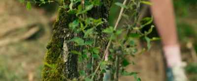 With his tree-house,
he has a clear advantage. - Problemos