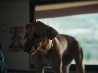 With what this poor thing
has been through, - Un amor