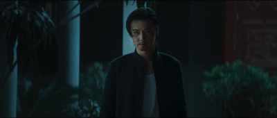 Within 7 paces, - Master Z: Ip Man Legacy