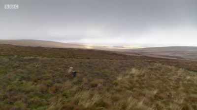 Without a doubt, you know, - Chronicles of the Glens