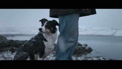 Without any sign of her. - Billy & Molly: An Otter Love Story
