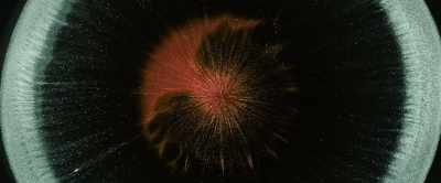 Without exaggeration, - After Death
