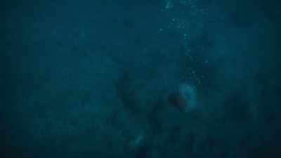 Without it,
they sink helplessly to the seabed. - Prehistoric Planet