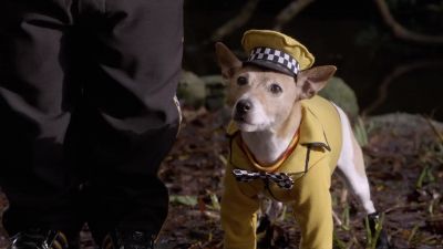 Without Santa's magic cystal - The Search for Santa Paws