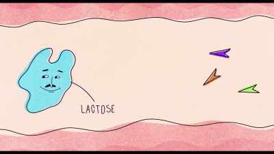 Without the lactase enzymes, - Good Girls Get High