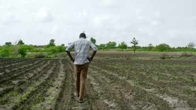 Without trees, there will be less rain. - Breaking Boundaries: The Science of Our Planet