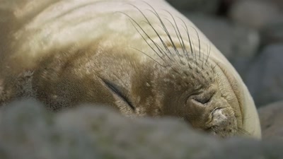 '..without waking them.' - A Year on Planet Earth