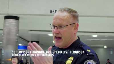 WITHROW: Okay.
FERGUSON: All right? - To Catch a Smuggler