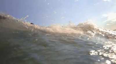 Witnesses watch in horror - Shark Attack Files