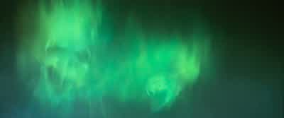 WIZARDS: Stupefy! ARTHUR: Stop! - Harry Potter and the Goblet of Fire