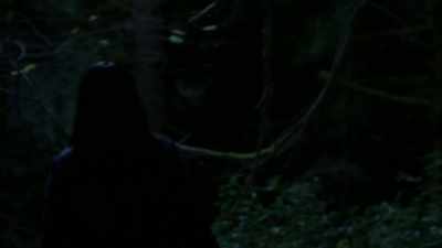 [wolf howling] - Pretty Little Liars: The Perfectionists