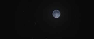 [wolf howls] - Aftertaste