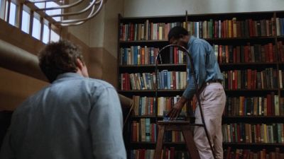Wolf wanted to get friendly - Escape from Alcatraz