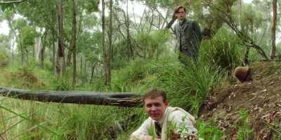 (wolf whistle) - Picnic at Hanging Rock
