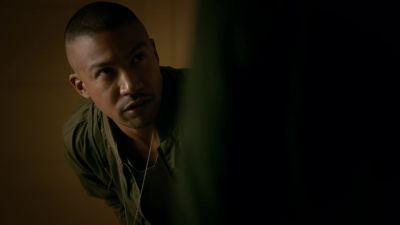 Wolfsbane and vervain. - The Originals