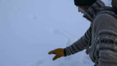 Wolves come through, - Life Below Zero: Next Generation