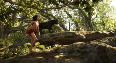 Wolves don't hide in trees - The Jungle Book