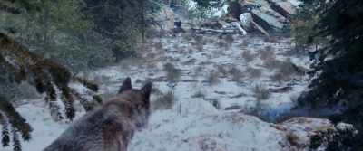 [wolves growling] - Legacy Peak