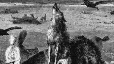 [Wolves howling] - The American Buffalo