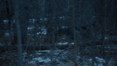 (WOLVES SNARLING) - Game of Thrones