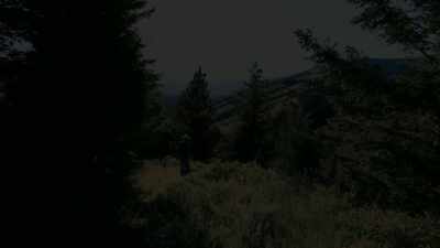 [WOMAN CRYING] - Third Eye Spies