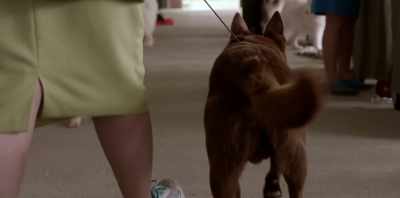 WOMAN: For the tail to be up, - Koko: A Red Dog Story