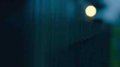 WOMAN: Hey, someone! - The Brokenwood Mysteries