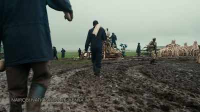 [woman] I can confirm that this
ivory here is exactly 105 tons. - Anthropocene: The Human Epoch