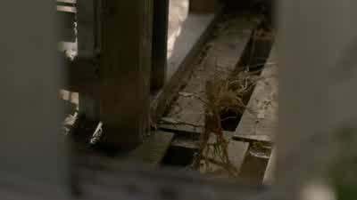 I don't know what that is. - True Detective
